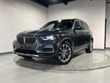 Used 2019 BMW X5 xDrive40i w/ Convenience Package image 2