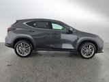 New 2025 Lexus NX 300h AWD w/ Luxury Package image 2