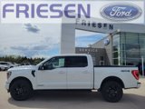 Used 2023 Ford F150 XLT w/ Equipment Group 302A High image 4