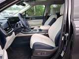 New 2025 Kia Carnival SX image 5