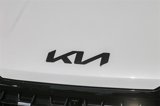 New 2025 Kia Carnival SX Prestige image 6
