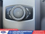 New 2026 Ford E-450 and Econoline 450 Super Duty w/ Power Equipment Group image 6