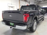 New 2025 Ford F150 XLT w/ Equipment Group 303A High image 5