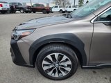 Used 2024 Subaru Outback Limited image 4