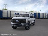 New 2025 Ford F250 Platinum image 2
