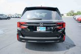 New 2026 Honda Odyssey Sport-L image 5