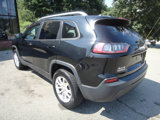 Used 2020 Jeep Cherokee Latitude w/ Cold Weather Group image 4