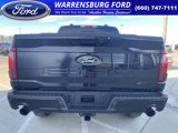 New 2025 Ford F150 XLT w/ Equipment Group 303A High image 6