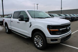 New 2025 Ford F150 XLT w/ Equipment Group 303A High image 2