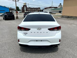 Used 2019 Hyundai Sonata SE image 4