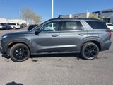New 2025 Hyundai Palisade XRT image 2