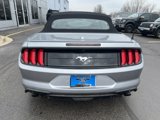 Used 2023 Ford Mustang Premium image 4