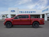 New 2025 Ford F150 STX image 3