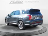 New 2025 Hyundai Palisade SEL image 5