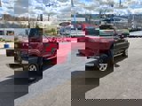 New 2025 Ford F150 XLT w/ Equipment Group 302A MID image 5