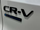New 2026 Honda CR-V TrailSport image 6