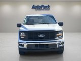 New 2025 Ford F150 XL w/ Equipment Group 103A High image 2