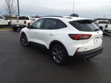 New 2025 Ford Escape ST-Line w/ Tech Pack #1 image 5