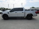 New 2025 Ford F150 STX w/ STX Black Appearance Package image 3