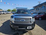 Used 2011 Ford F150 Platinum image 2