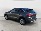 Used 2020 Ford Escape SE image 3