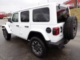 New 2025 Jeep Wrangler Sahara w/ Technology Group image 3