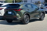 New 2026 Lexus NX 350h AWD w/ Premium Package image 5
