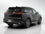 Used 2025 INFINITI QX60 Sensory image 5