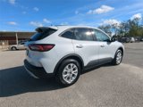 New 2025 Ford Escape Active w/ Tech Pack #1 image 4