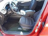 New 2025 Ford Escape Active w/ Active Premium Tech Pack image 6