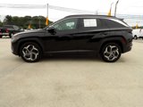 Used 2024 Hyundai Tucson Limited image 2