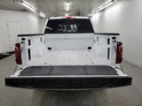 New 2025 Ford F150 XLT w/ Equipment Group 303A High image 6