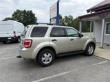 Used 2011 Ford Escape XLT image 2