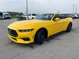 Used 2024 Ford Mustang Premium image 3