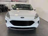 Used 2020 Ford Escape SE image 5