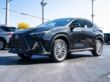 New 2026 Lexus NX 350 AWD w/ Luxury Package image 4