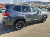 New 2025 Subaru Forester Wilderness w/ Wilderness Package image 5