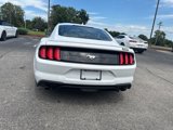 Used 2022 Ford Mustang Premium image 6