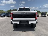 New 2025 Ford F250 Platinum image 5