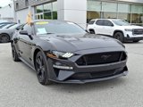 Certified 2023 Ford Mustang GT Premium w/ Equipment Group 401A image 2