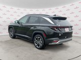 New 2025 Hyundai Tucson Limited image 5