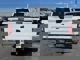 Used 2019 Ford F150 XLT w/ Equipment Group 302A Luxury image 4