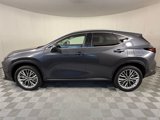 New 2025 Lexus NX 350h AWD w/ Premium Package image 4