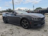 Used 2024 Ford Mustang Convertible image 2