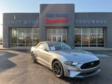 Certified 2022 Ford Mustang Premium image 1