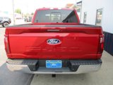 New 2024 Ford F150 XLT w/ Equipment Group 302A MID image 6