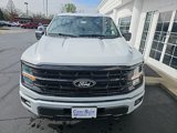 New 2025 Ford F150 XLT w/ Equipment Group 302A MID image 3