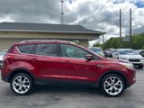 Used 2013 Ford Escape Titanium w/ Parking Technology Pkg image 6