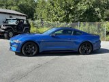 Used 2023 Ford Mustang GT w/ Mustang Nite Pony Package image 2