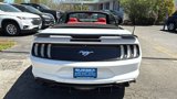 Used 2021 Ford Mustang Premium image 6